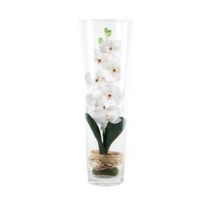 Composition orchidées - Plastique et verre - H 50 cm - Multicolore