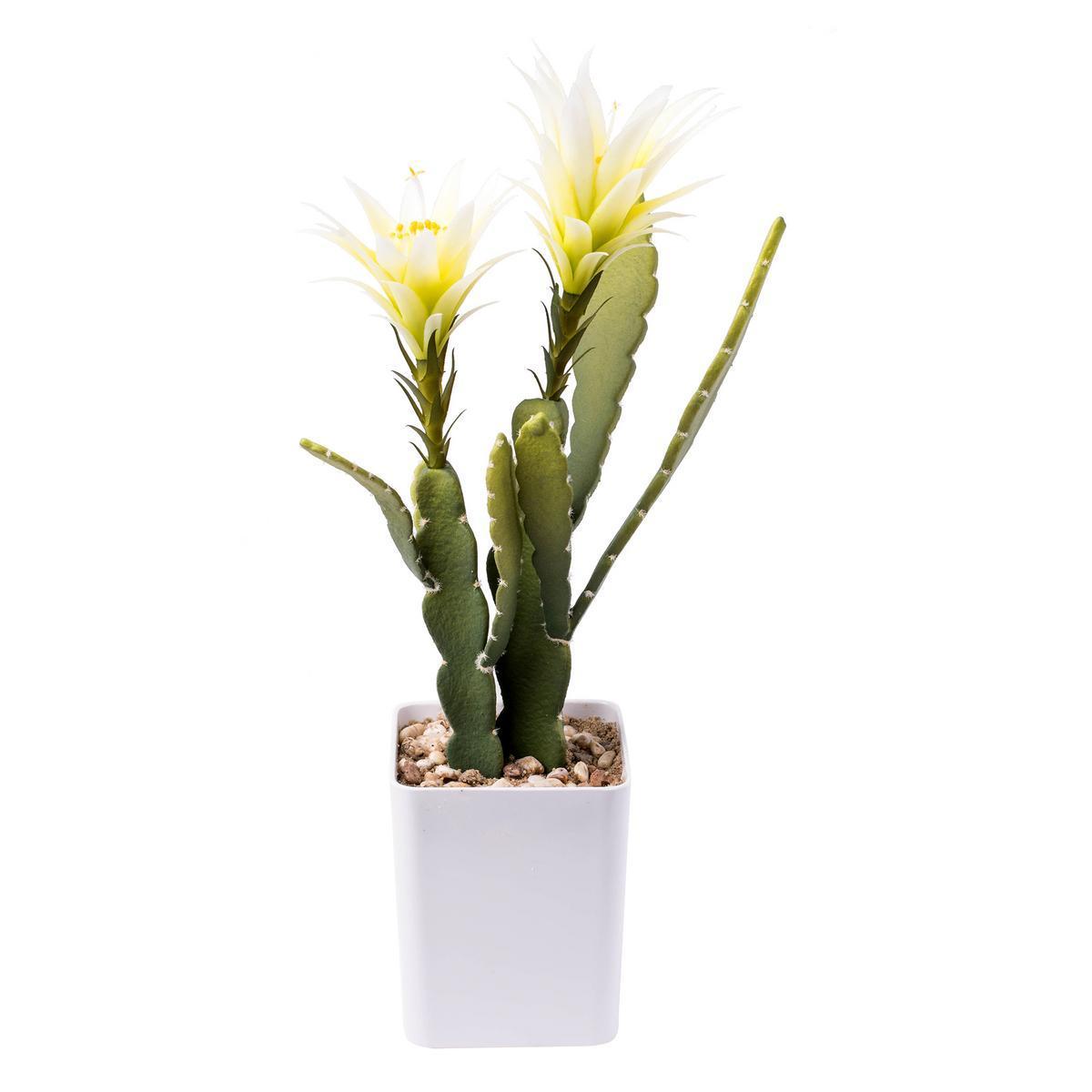 Cactus en pot - Plastique - H 50 à 58 cm - Différents modèle