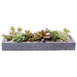 Plateau de succulentes avec petits cailloux - Plastique - 33,5 x 11,5 x H 7,9 cm - Beige et vert