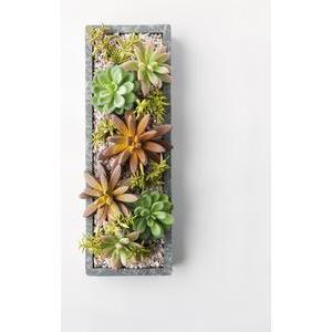 Plateau de succulentes avec petits cailloux - Plastique - 33,5 x 11,5 x H 7,9 cm - Beige et vert