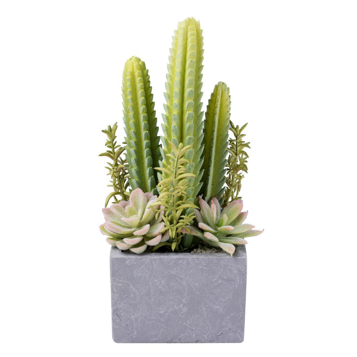 Succulentes en pot - Plastique - 11 x 11 x H 26,6 cm - Beige et vert