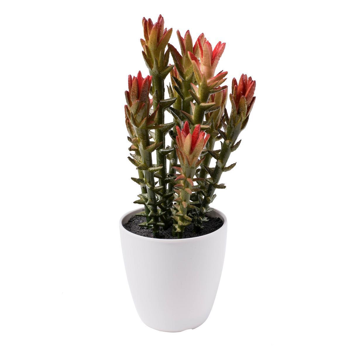 Cactus en pot - Plastique - H 25 à 29 cm - Plastique