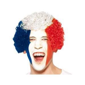 Perruque afro - 20 x 6 x H 28 cm - Polyester - Bleu, Blanc et Rouge