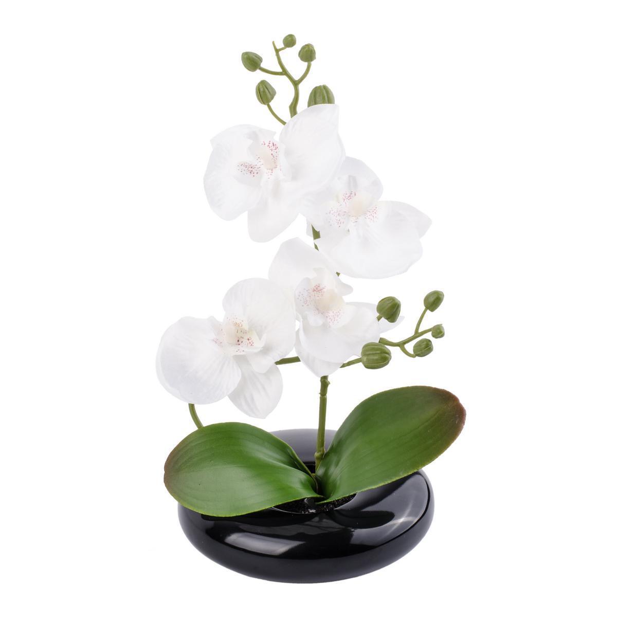 Orchidée + pot - Polyester et Porcelaine - ø 16.5 x H 22 cm - Blanc et rose fushia