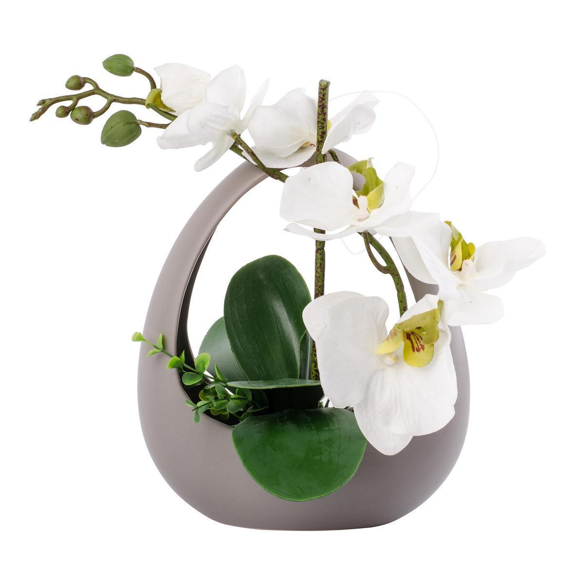 Orchidée + pot - Polyester et porcelaine - 30 x 21 x H 18.5 cm - Blanc et rose fushia