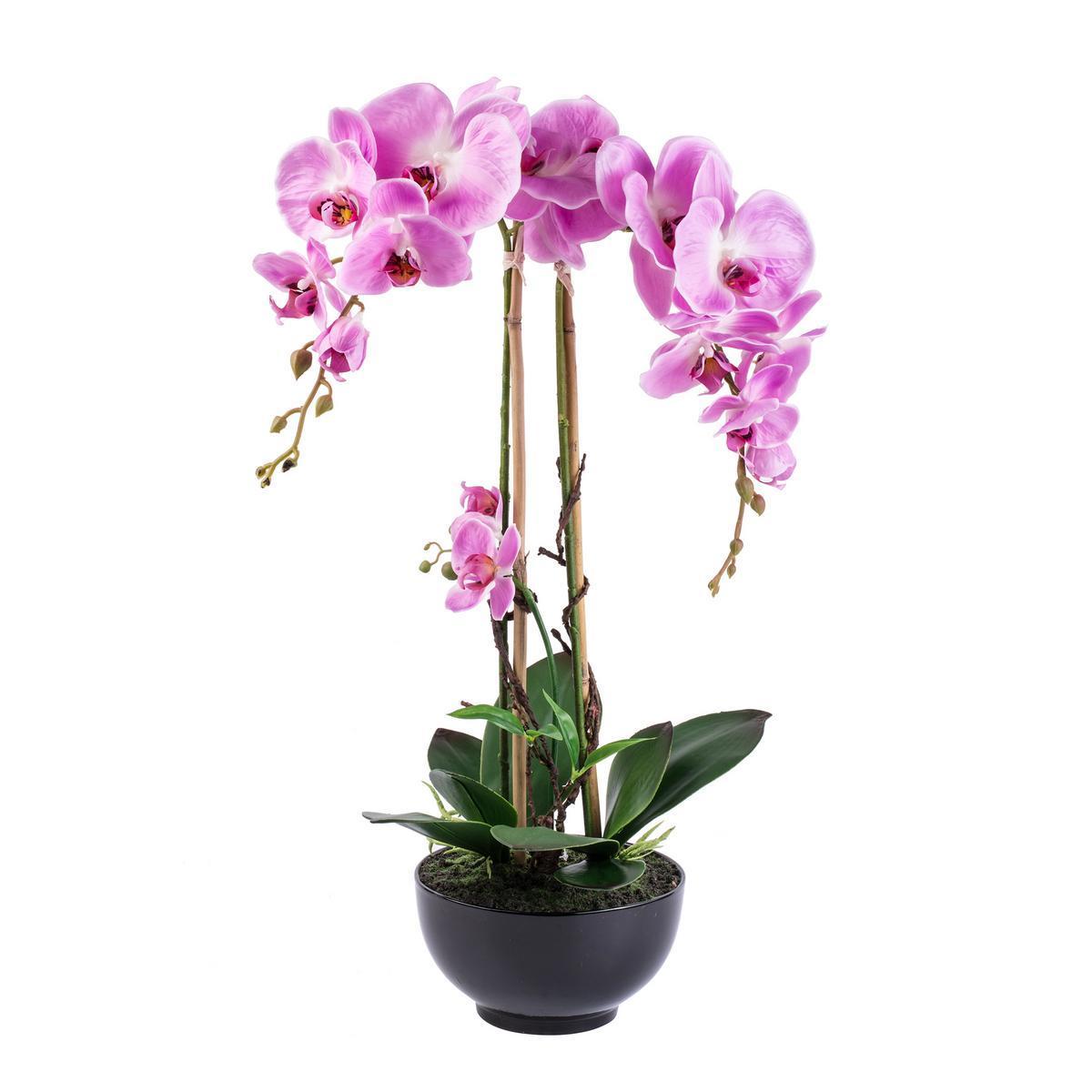 Composition orchidée - Polyester et Plastique et céramique - Ø 30 x H 68 cm - Fushia