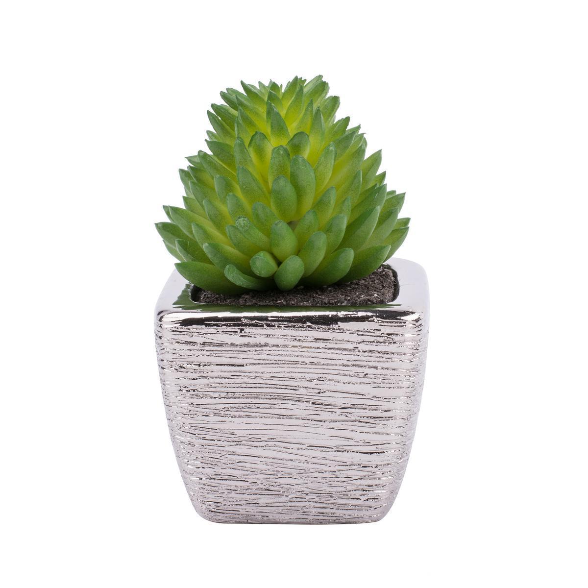 Plante grasse artificielle en pot - Plastique et céramique - 5 x 5 x H 8 cm - Vert et gris