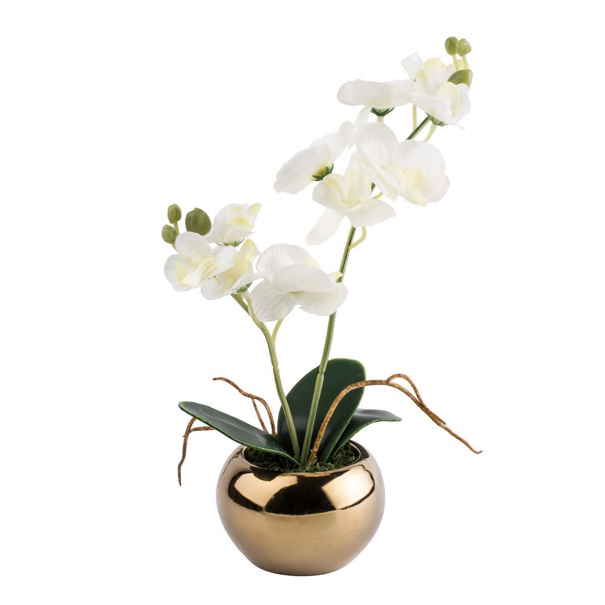 Orchidée en pot - Plastique et céramique - Ø 20 x H 23 cm - 2 modèles