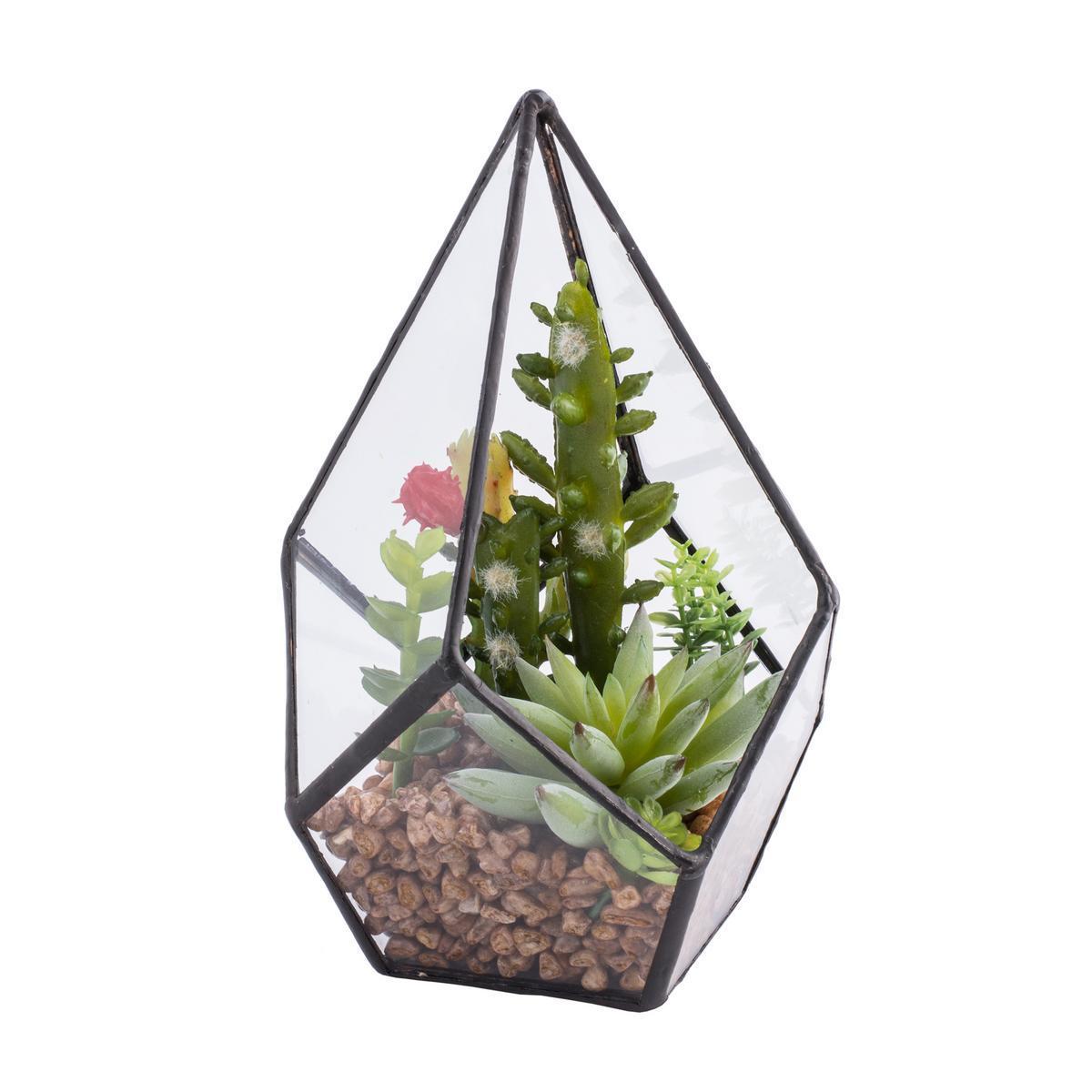 Serre de plantes grasses artificielles - Pvc et verre - H 16 cm - Noir, vert et transparent