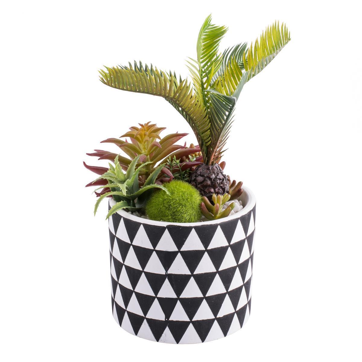 Composition de plantes grasses artificielles - Pvc et céramique - H 23 cm - Noir, blanc et vert