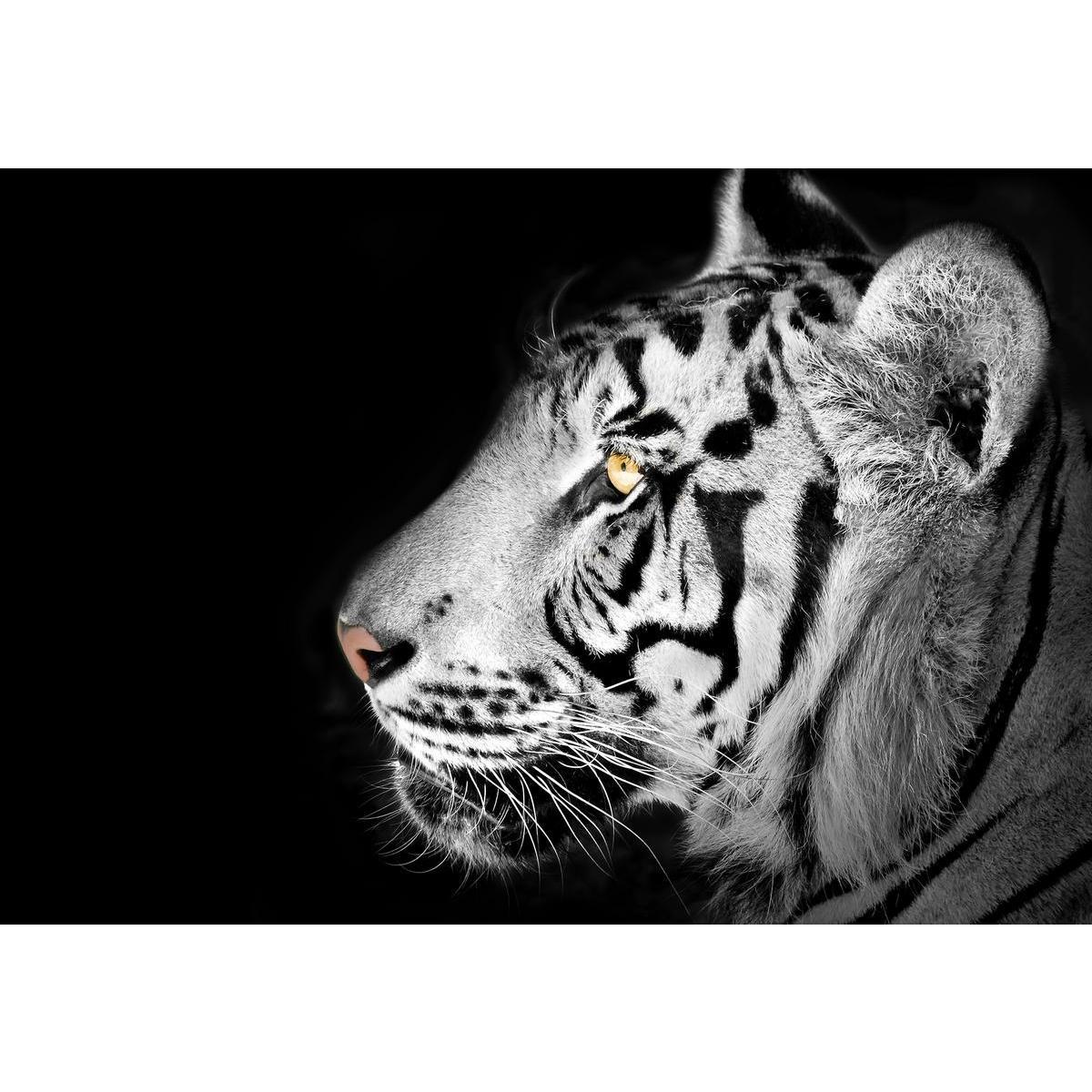 Tableau photo tigre - MDF - 45 x 2,2 x H 65 cm - Noir et blanc