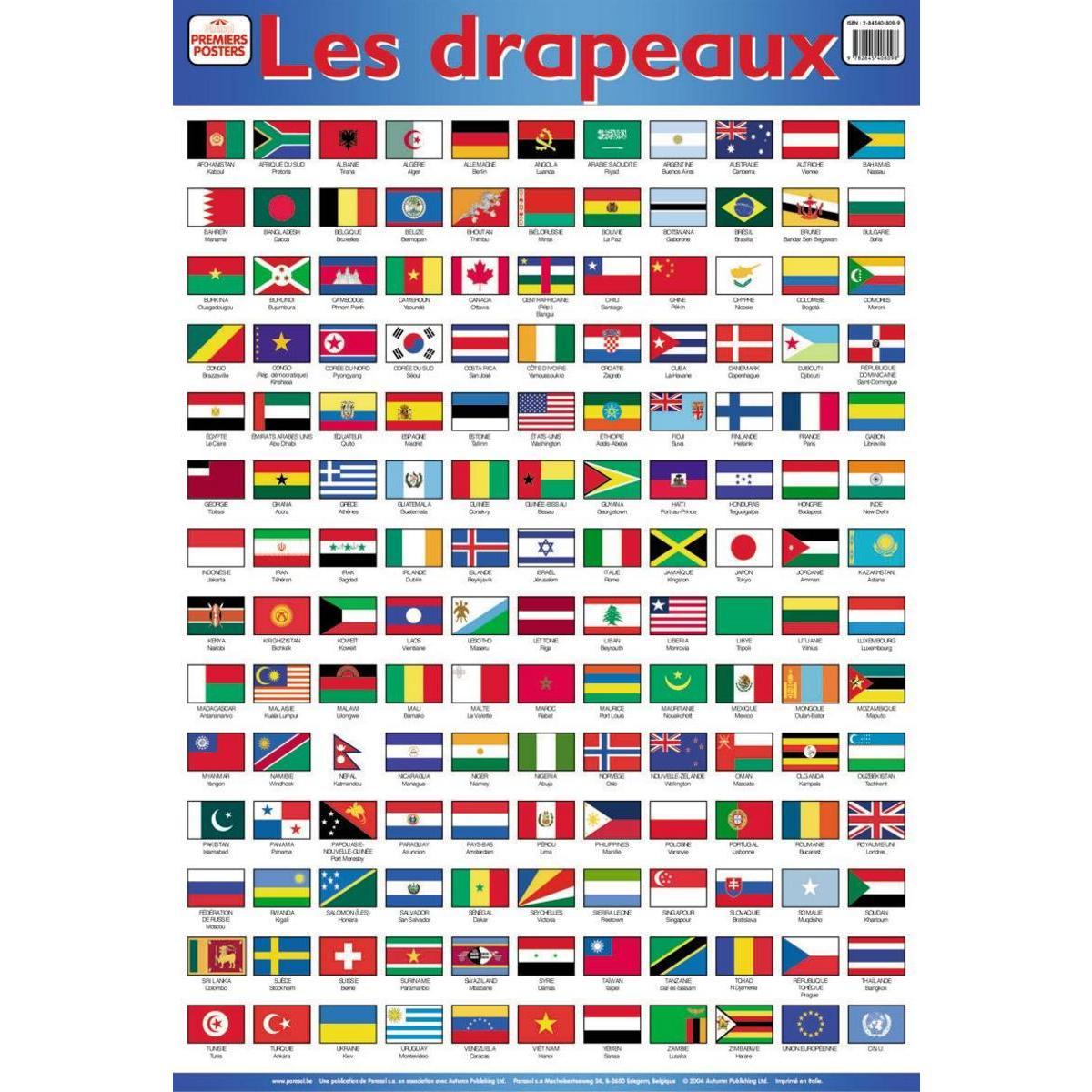 Poster drapeaux - - Papier plastifié - 76 x 52 cm - Multicolore