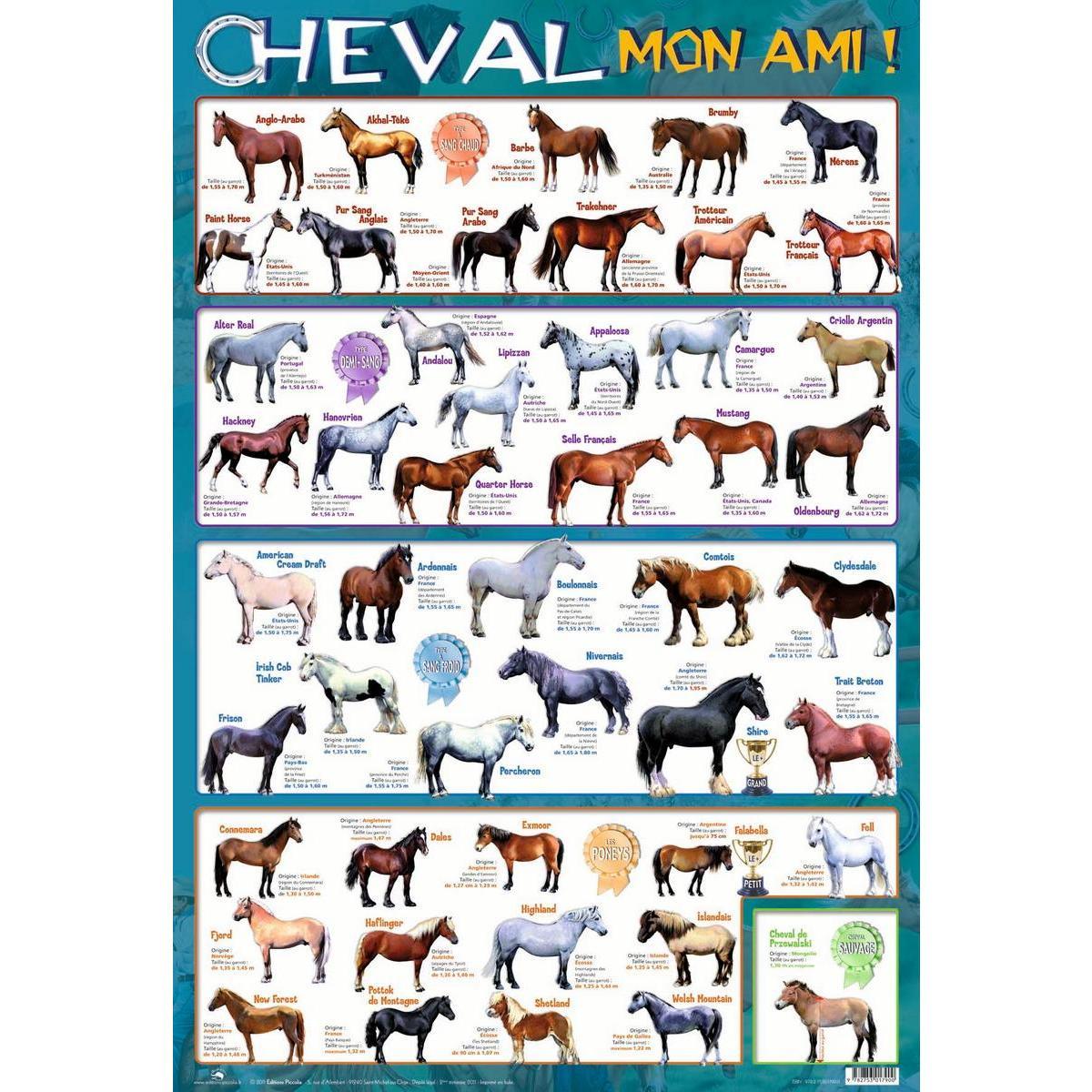 Poster chevaux - Papier plastifié - 76 x 52 cm - Multicolore