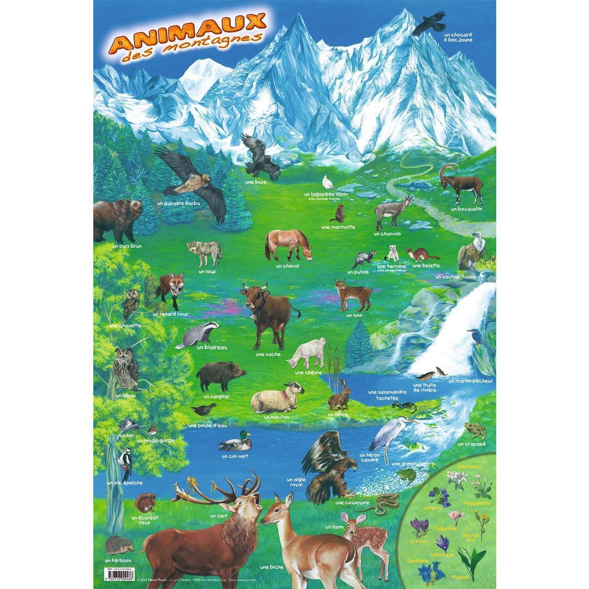 Poster animaux de la montagne - Papier plastifié - 76 x 52 cm - Multicolore