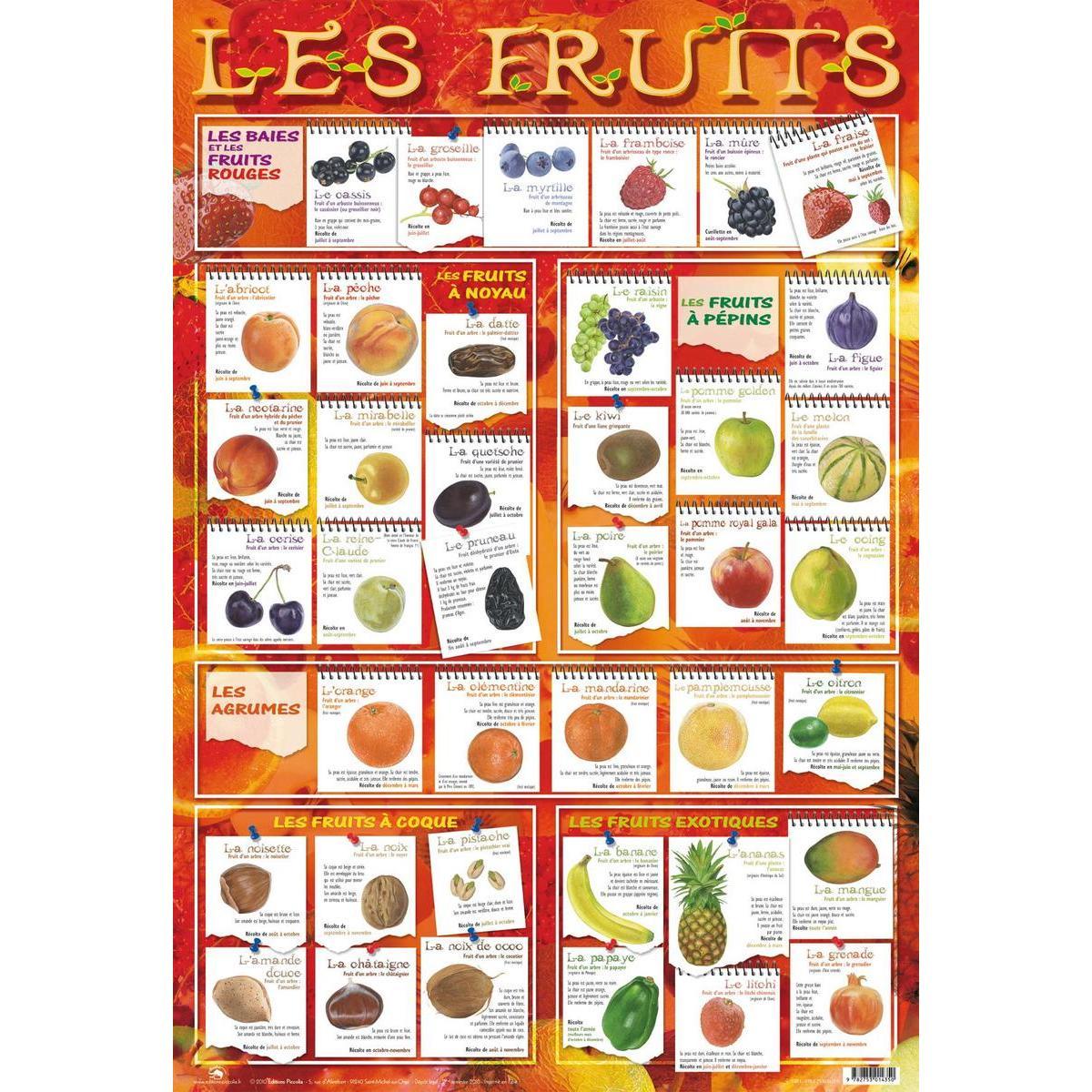 Poster fruits - Papier plastifié - 76 x 52 cm - Multicolore