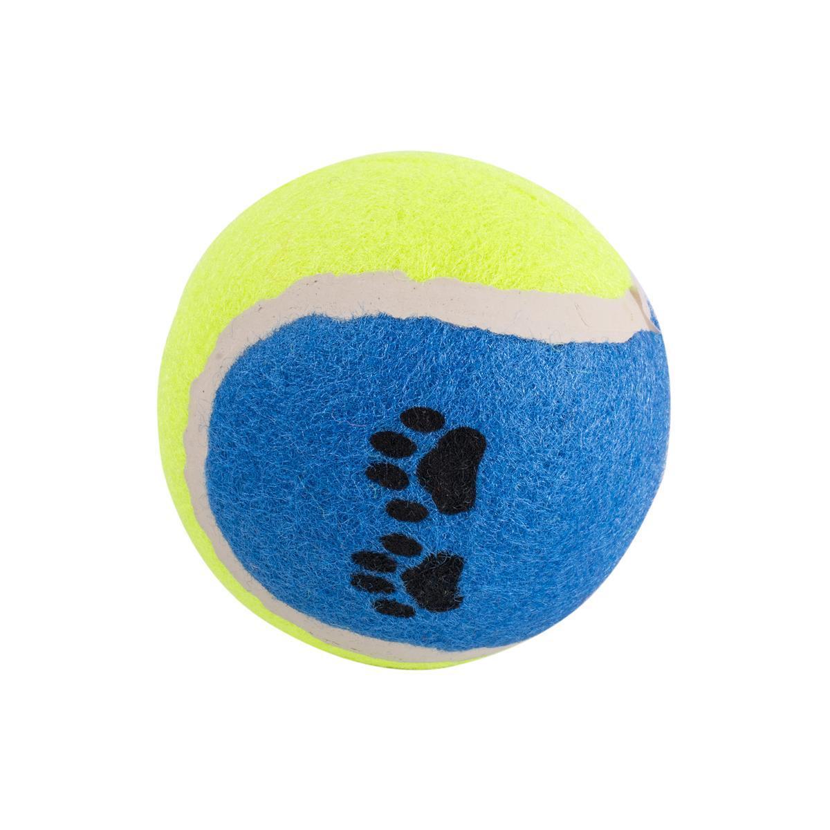 5 balles de tennis pour chien - Gomme et polypropylène - Multicolore