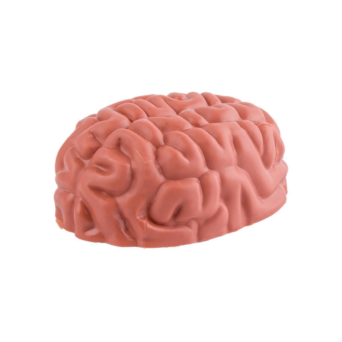 Faux cerveau sur plateau - Plastique - Ø 12 x H 7 cm - Rouge