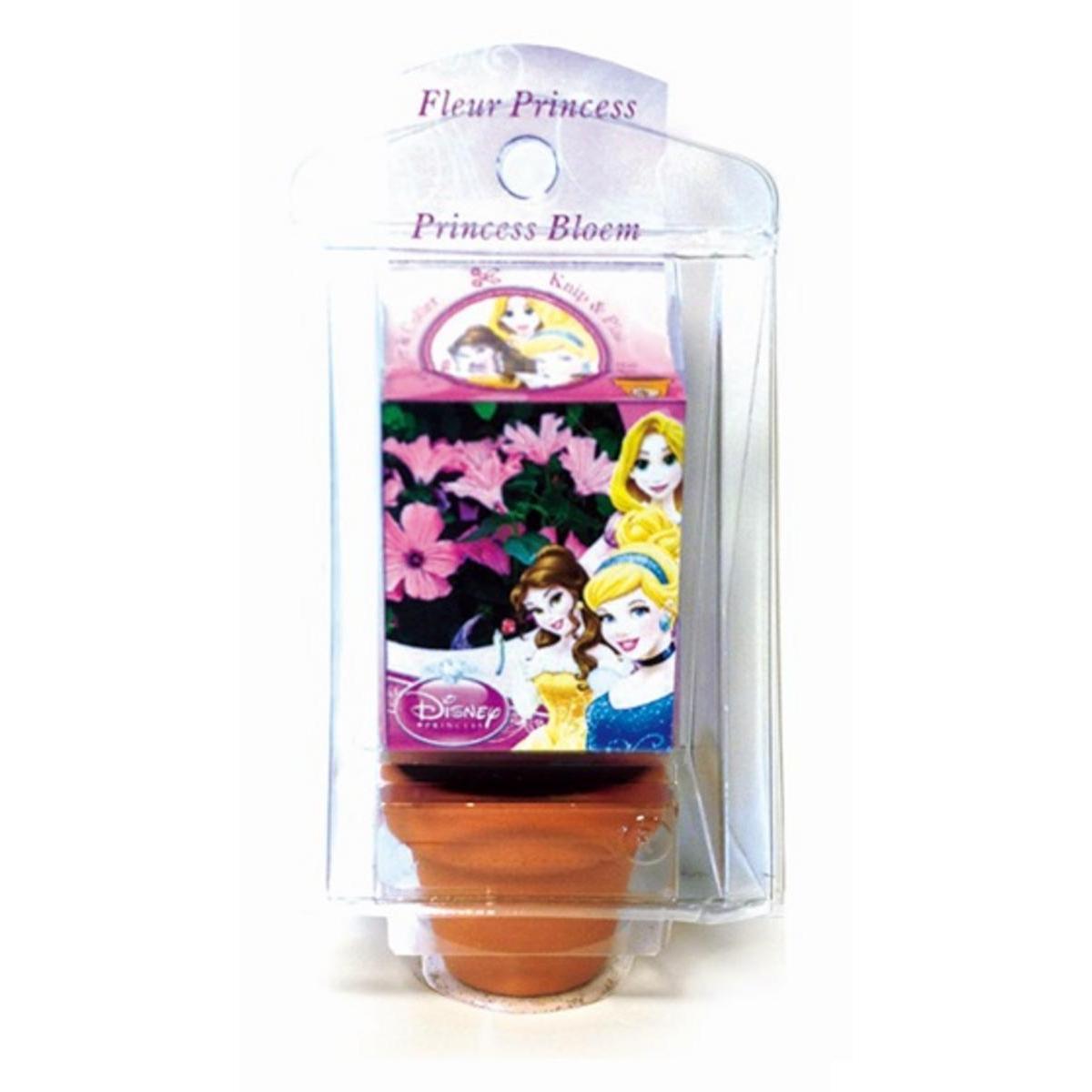Pot de fleur Princesses Disney - Terre cuite - 6 x 7 x 15,5 cm - Marron