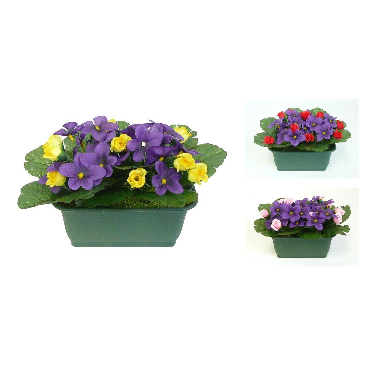 Jardinière de violettes et rosettes - Plastique - 18 x H 16 cm - Différents coloris
