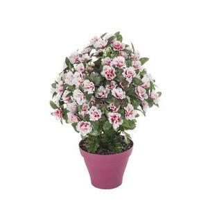 Pot de fleurs - Plastique et tissus - H 43 cm - Différents modèles