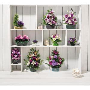 Jardinière d'orchidées et de ficus - 4 coloris