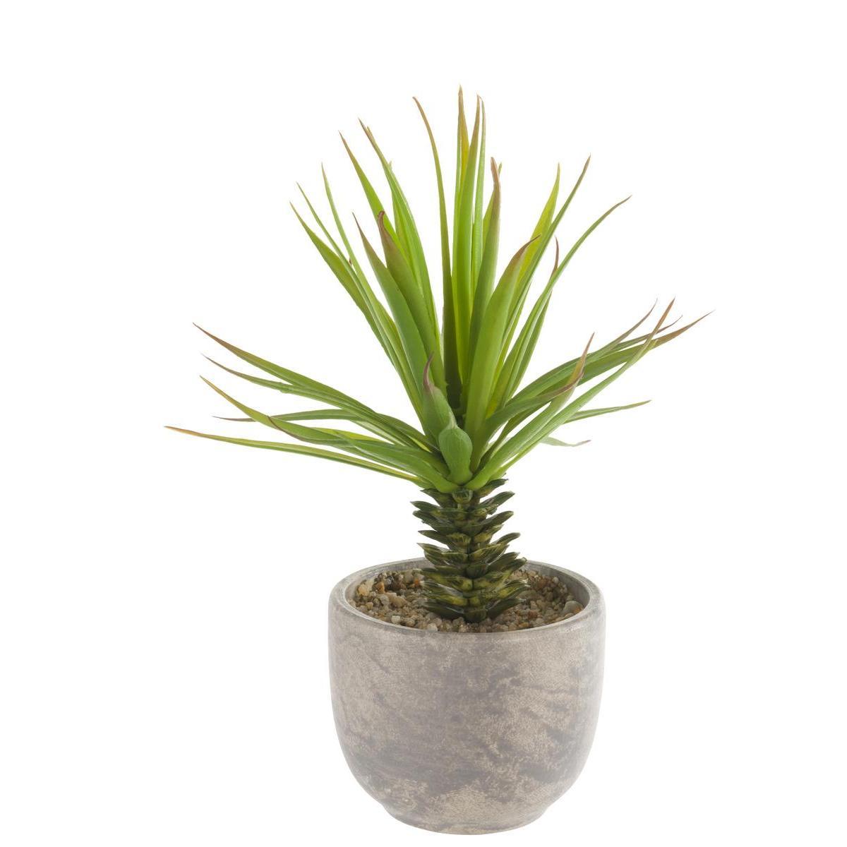 Cactus en pot - Plastique - Ø 7 x H 17 cm - Beige, noir ou blanc
