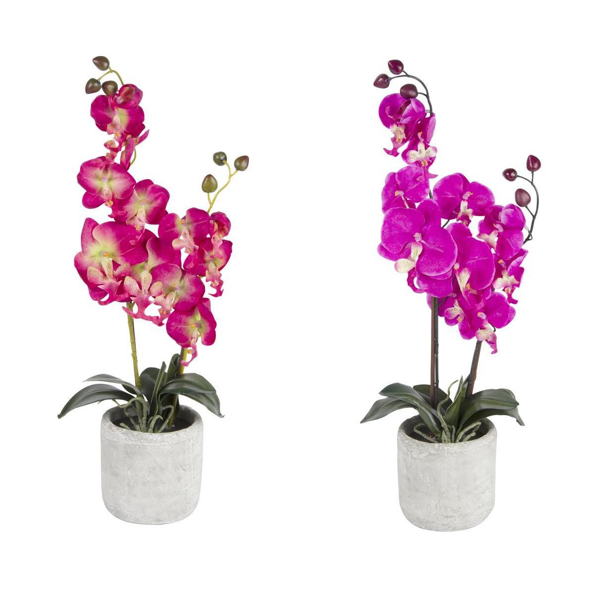 12 fleurs d'orchidées - Plastique et ciment - H 54 cm - Rose et fuchsia