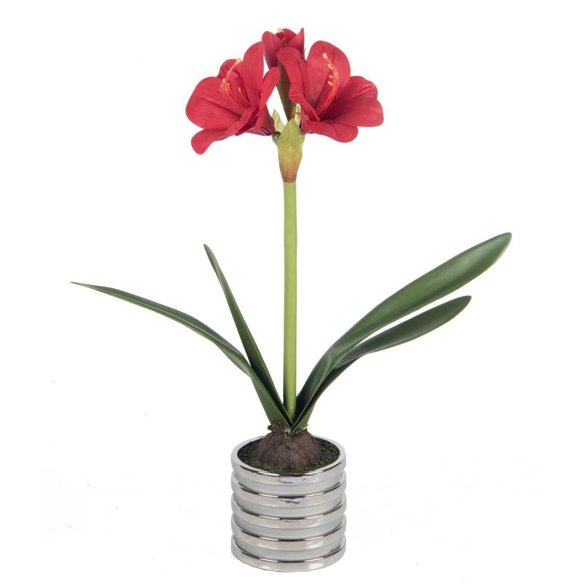 Amaryllis en pot - plastique et céramique - H 53 cm - Blanc ou rouge