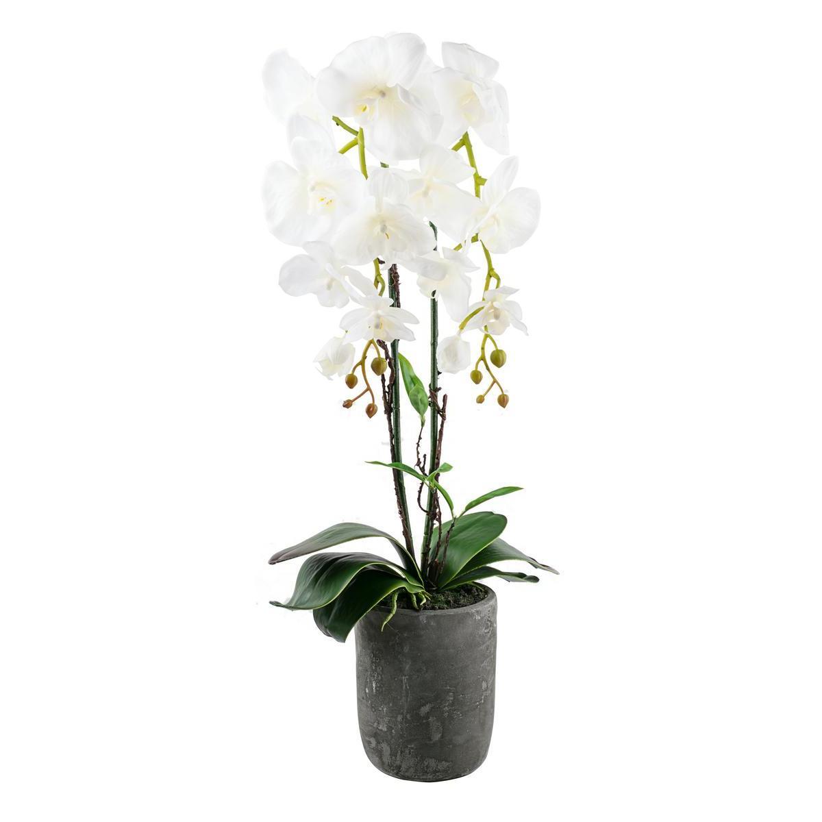 Orchidée en pot - Polyester et ciment - 35 x 35 x H 72 cm - Blanc ou mauve