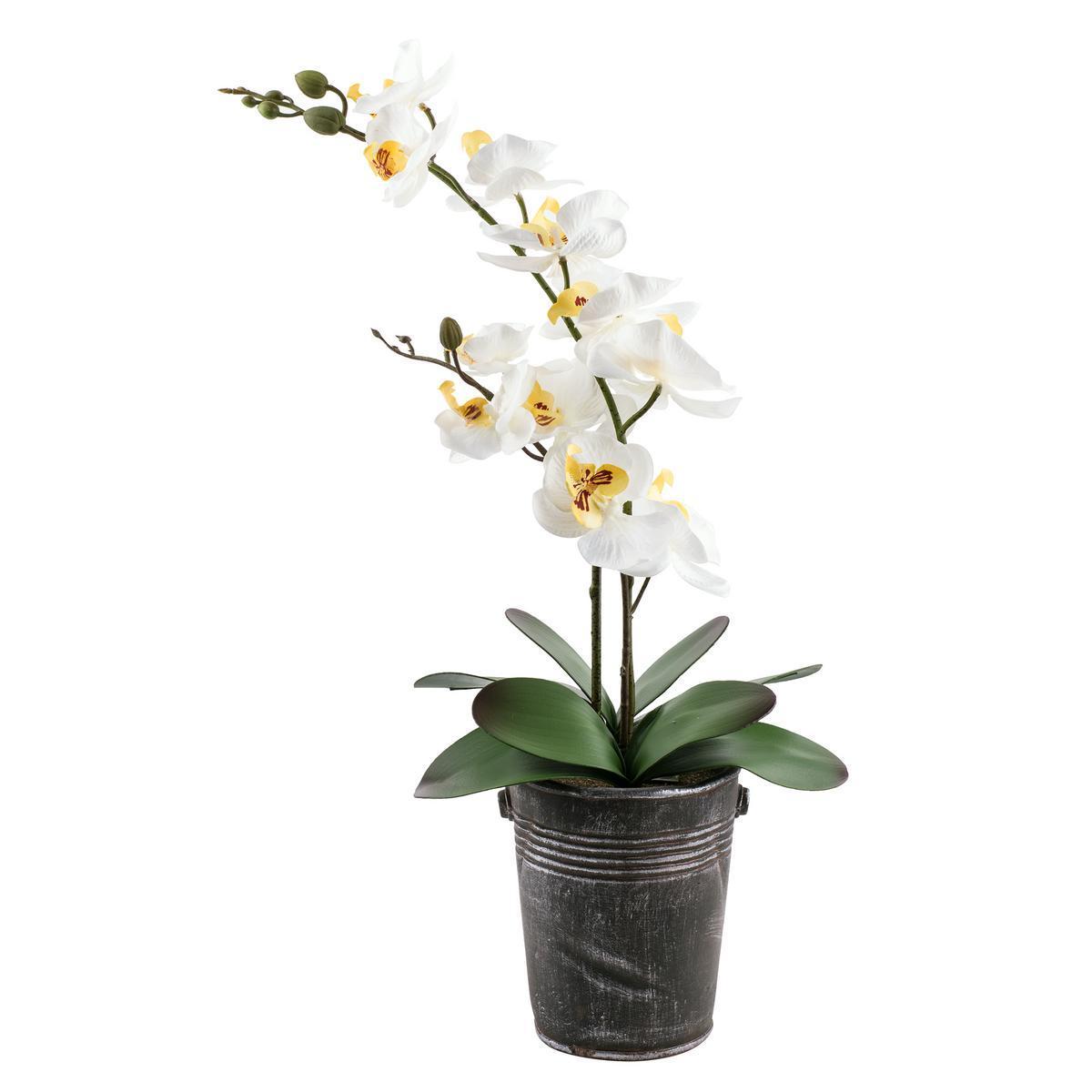 Orchidée en pot - Polyester et ciment - H 59 cm - Blanc et vert