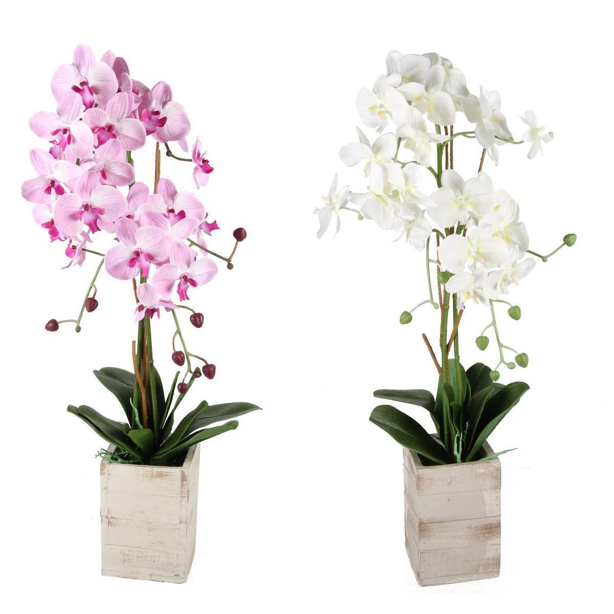 Orchidée artificielle - H 80 cm - 2 coloris