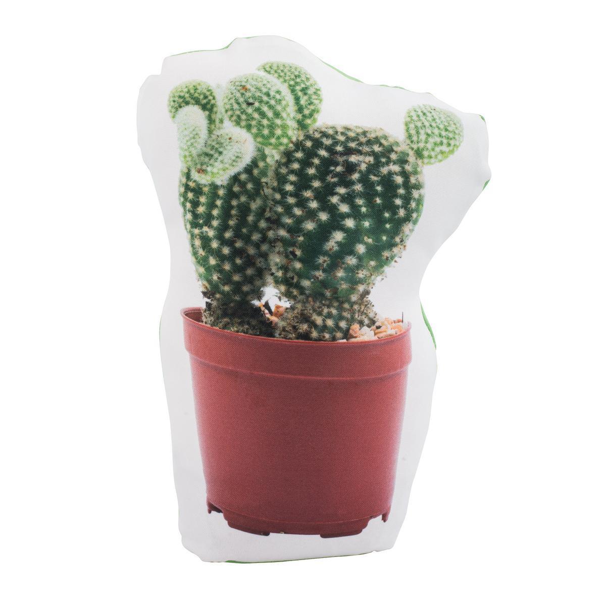 Cale-porte cactus - 10 x H 17 cm - Différents modèles