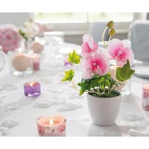 Pot d'orchidées avec lierre - Rose ou blanc