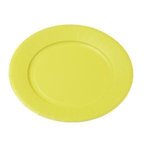 10 assiettes jetables - Vert kiwi