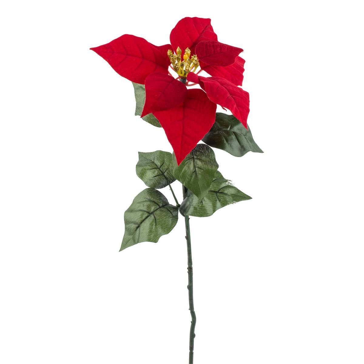 Tige de poinsettia - H 64 cm