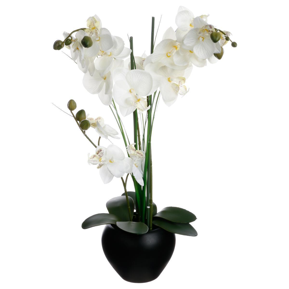 Orchidée avec vase - Noir, blanc, vert