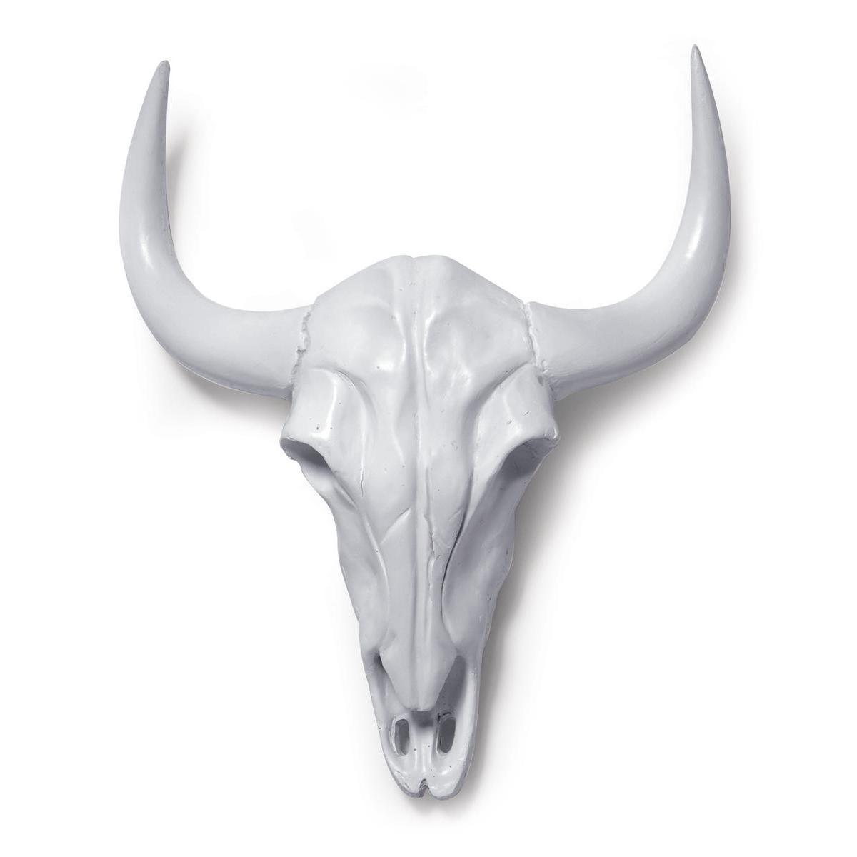 Crâne décoratif Buffalo