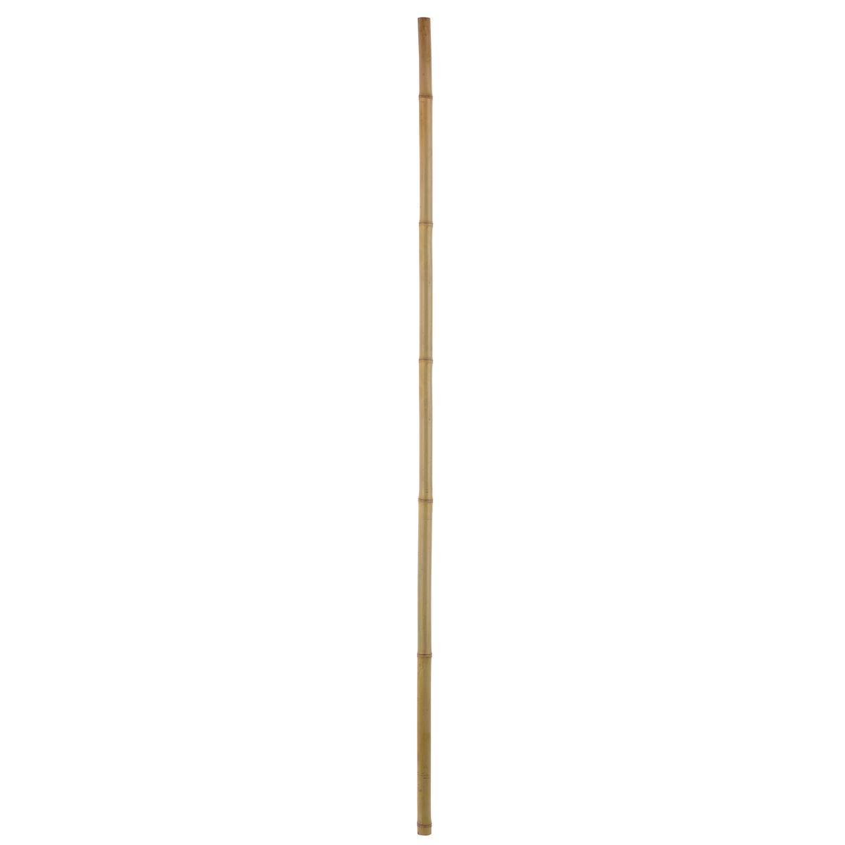 Tige de bambou - H 180 cm - MOOREA