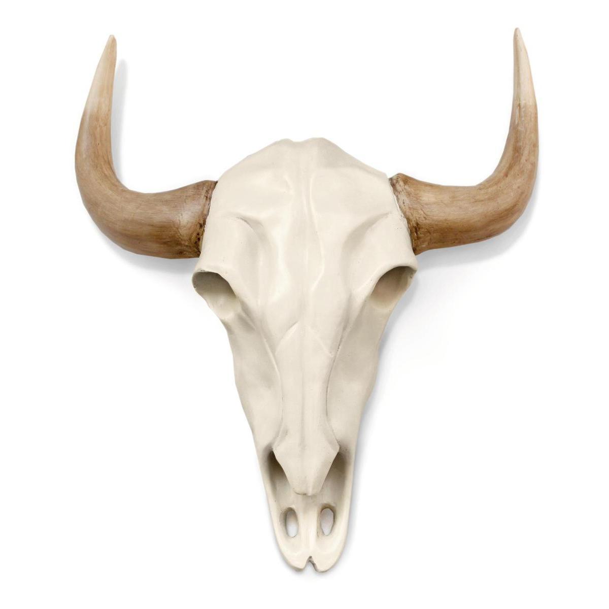 Crâne décoratif Buffalo - 55 x 17 x H 67 cm