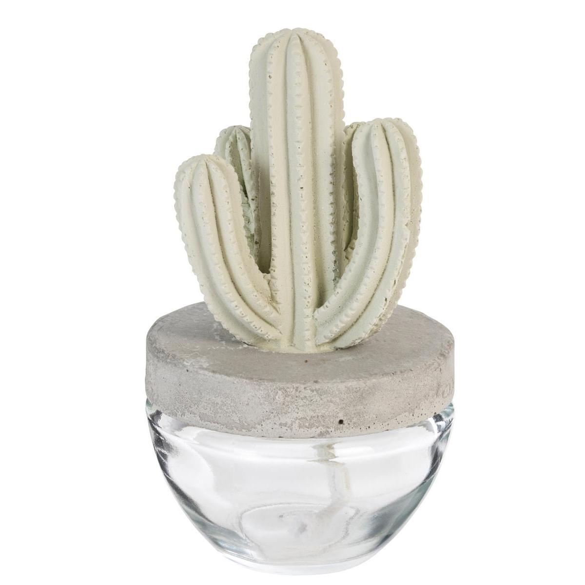 Diffuseur cactus