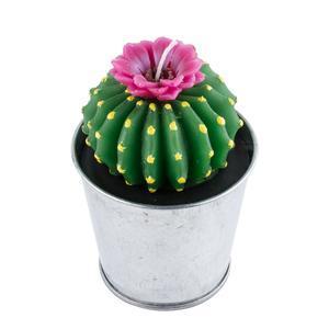 Bougie cactus - 8 x H 11 cm