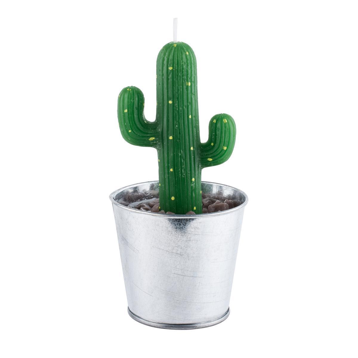 Bougie cactus - 8 x H 17 cm