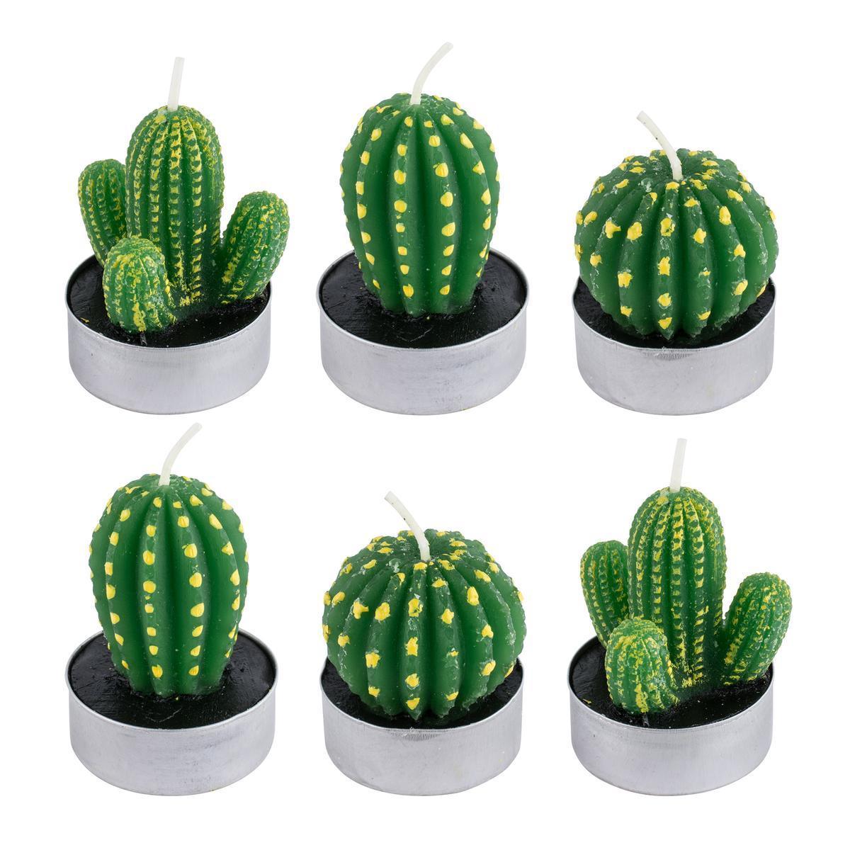 6 bougies cactus - Vert