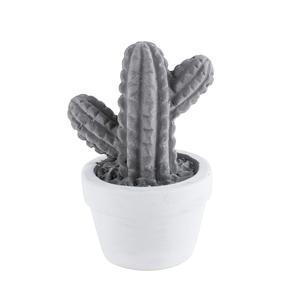 Décoration à poser cactus - Différents modèles