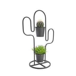 Cache-pot Cactus
