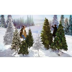 SAPIN COLORADO VERT 120CM