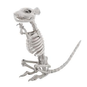 Squelette de rat factice - L 28 x H 33 x l 9 cm - Blanc
