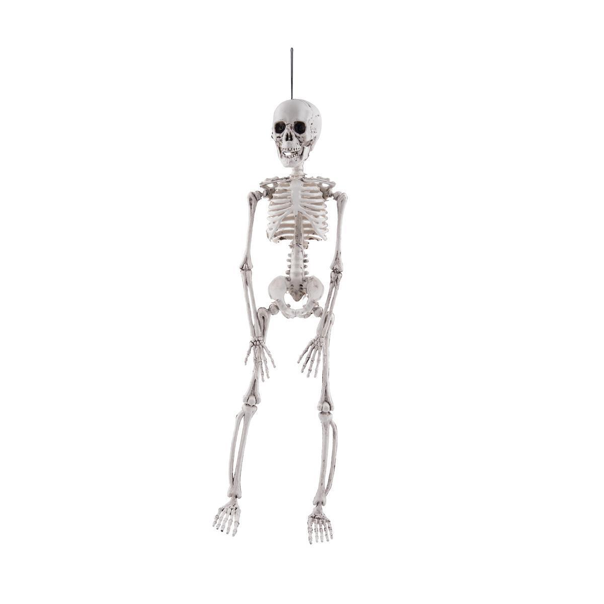 Squelette à suspendre - 48 cm