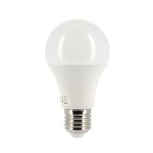 Ampoule LED éco A60 E27 - 800 LM - Blanc froid