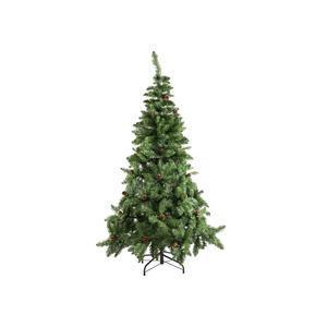 Sapin Baikal - ø 84 x H 150 cm